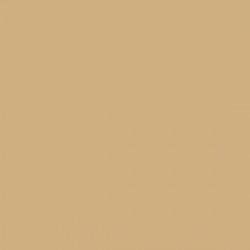 Mission Models MMP-010 Yellow Brown RAL 8020 Acrylic Paint - 1 oz. Bot –  Trainz