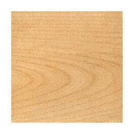 Bud Nosen Models 3262 1/8" x 2" x 24" Basswood Sheets (Pack of 15)
