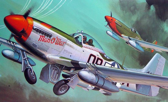 Hasegawa 08055 1:32 North American P-51D Mustang Military Aircraft Plane Kit