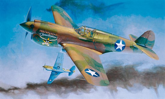 Hasegawa 08879 1:32 Curtiss P-40E Warhawk Military Aircraft Plane Model Kit